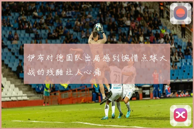 伊布对德国队出局感到惋惜点球大战的残酷让人心痛