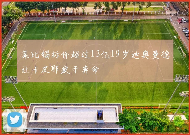 莱比锡标价超过13亿19岁迪奥曼德让卡皮耶疲于奔命